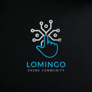 Lomingo international