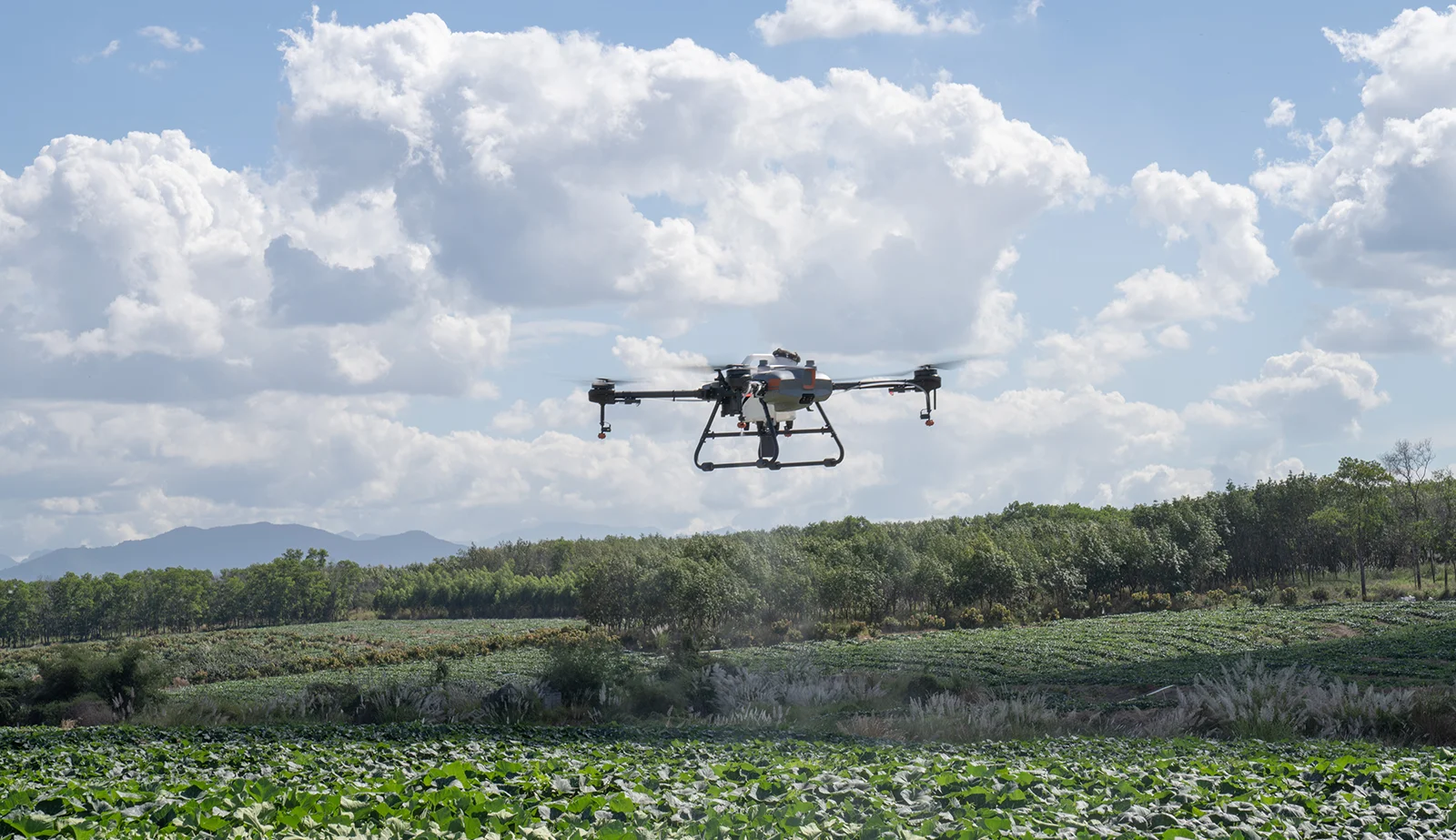 Zarada sa DJI Agras T10: Poljoprivredne usluge i poslovni potencijal