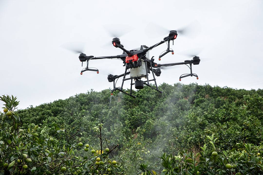 Zarada sa DJI Agras T20: Profesionalne poljoprivredne usluge