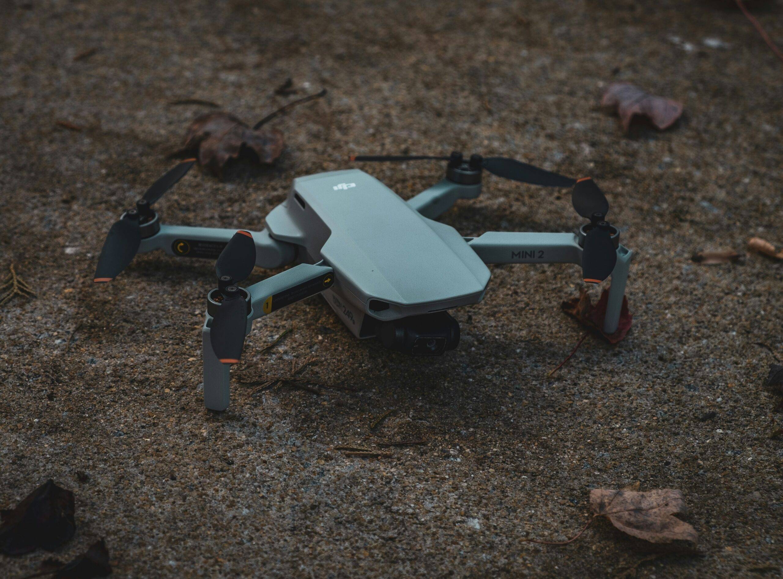 Zarada sa DJI Mini 2: Poslovne ideje za buduće dron pilote